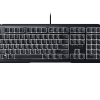 ornata v2 2020